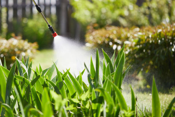 24/7 Emergency Mosquito Control experts in Danville, KY